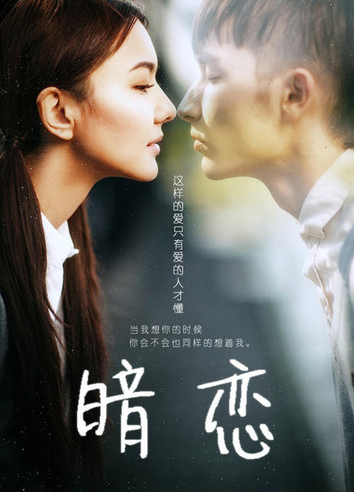 绑定学历认证报告,证书编号是什么